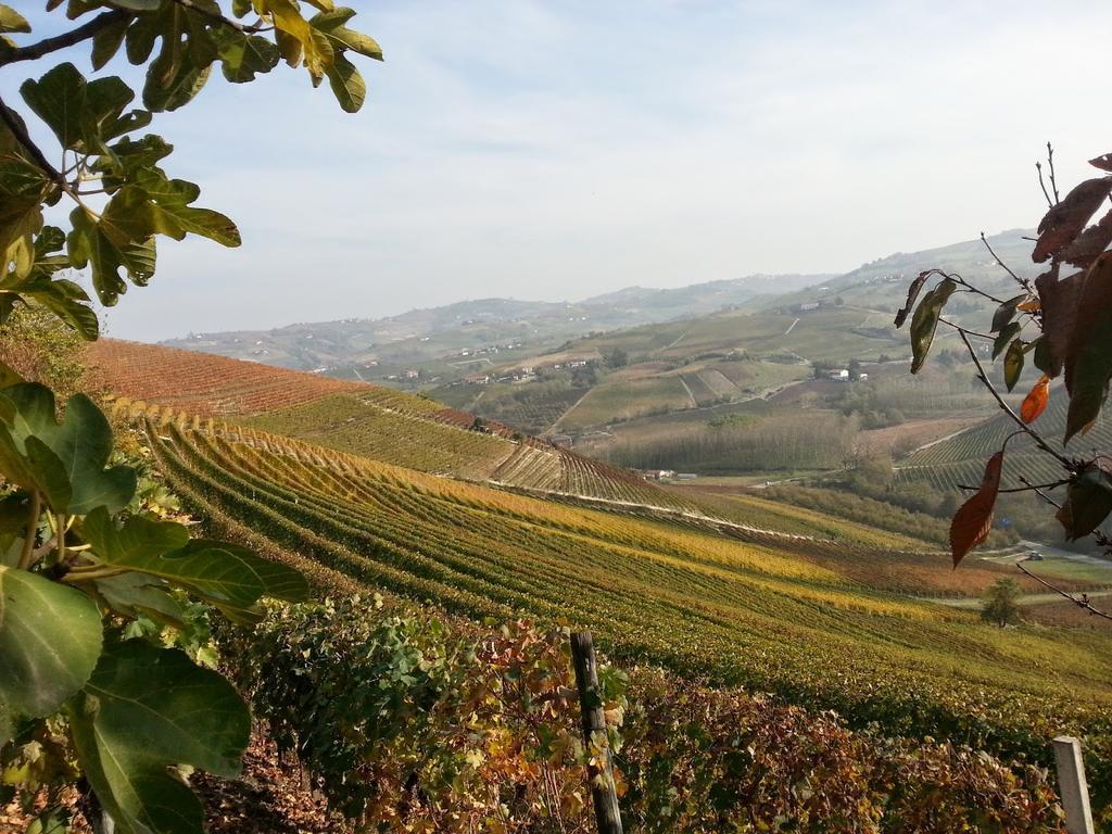 Villa Barbero Alba Langhe 망고 외부 사진